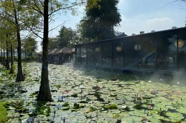 水明漾美食 水明漾美食