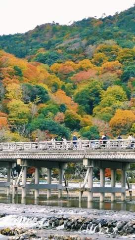 嵐山適合幾月去