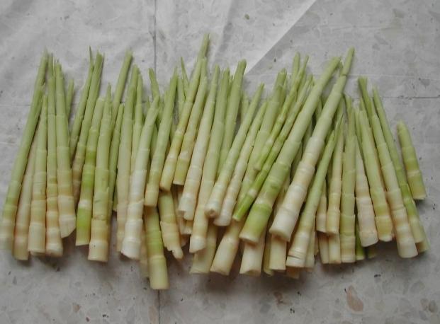 鹹竹筍料理 鹹竹筍料理