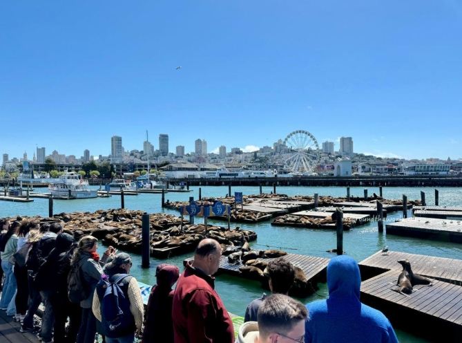 舊金山海鮮餐廳