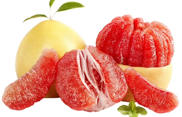 柚子與藥物交互作用