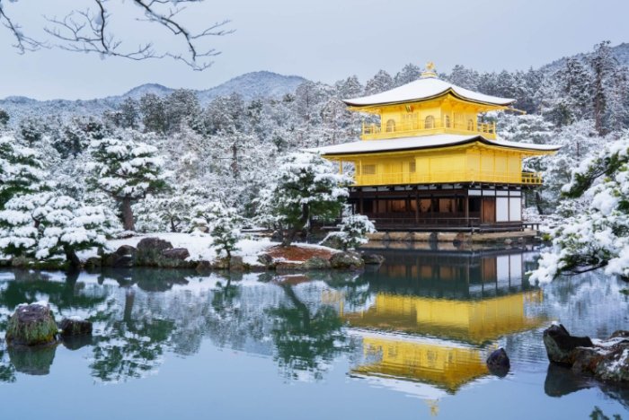 京都大阪怎麼去