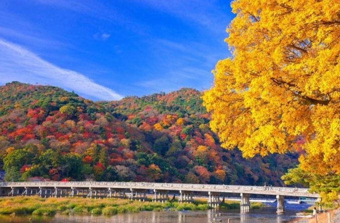 嵐山旅遊季節