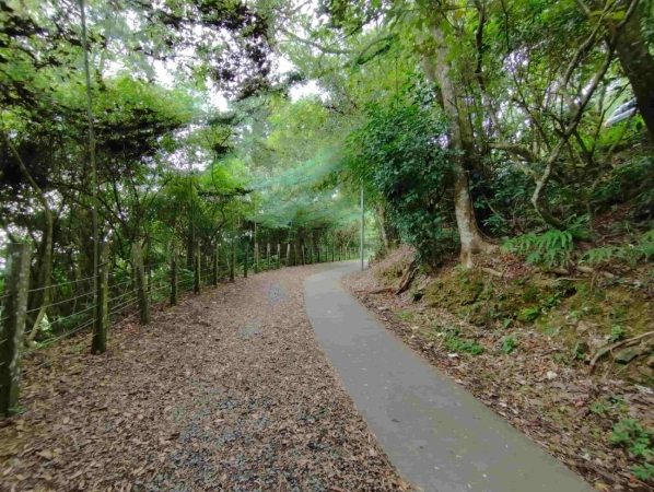 林美石磐步道難度 林美石磐步道難度