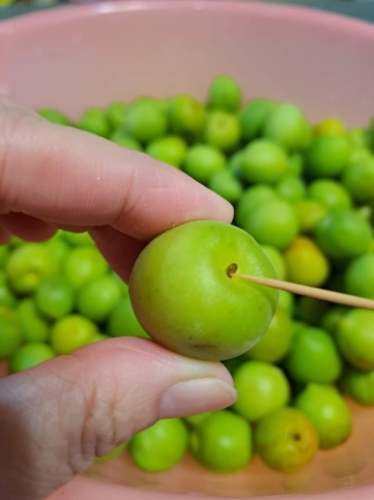 梅子醋梅子處理