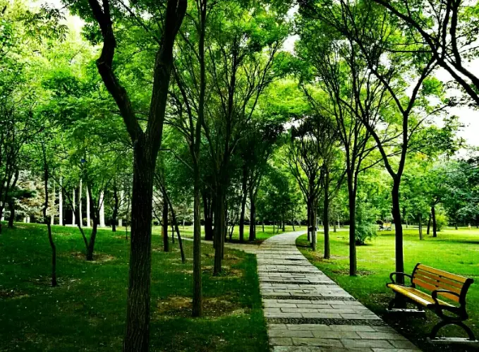 內壢好玩的地方 內壢好玩的地方