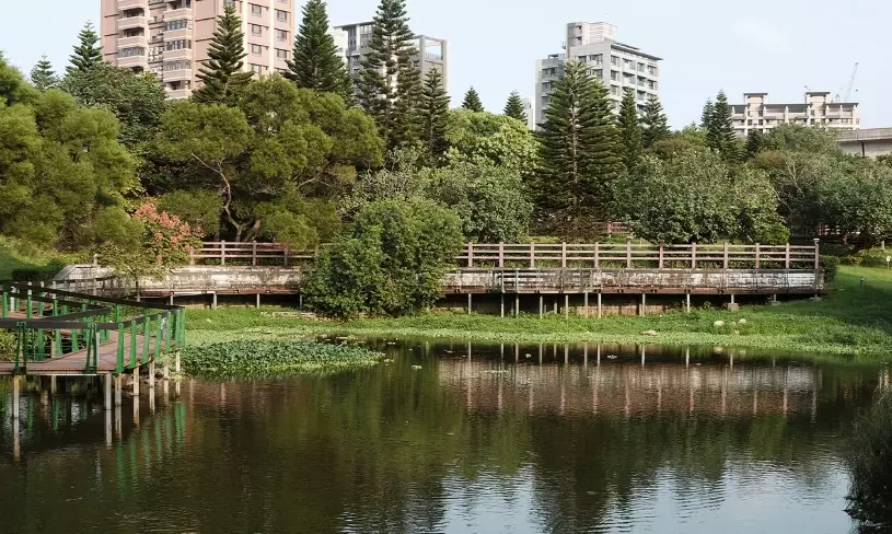 中壢一個人吃飯