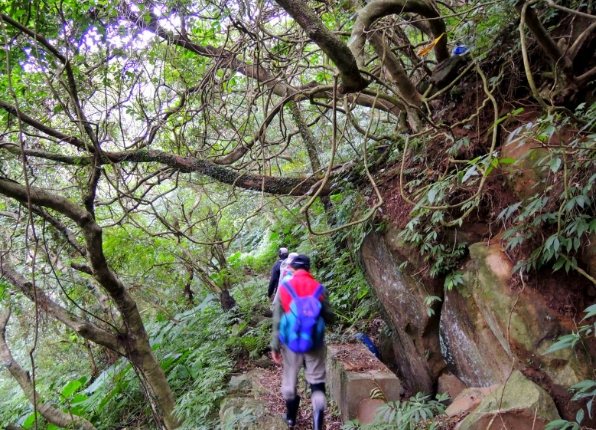 18彎古道路線 18彎古道路線