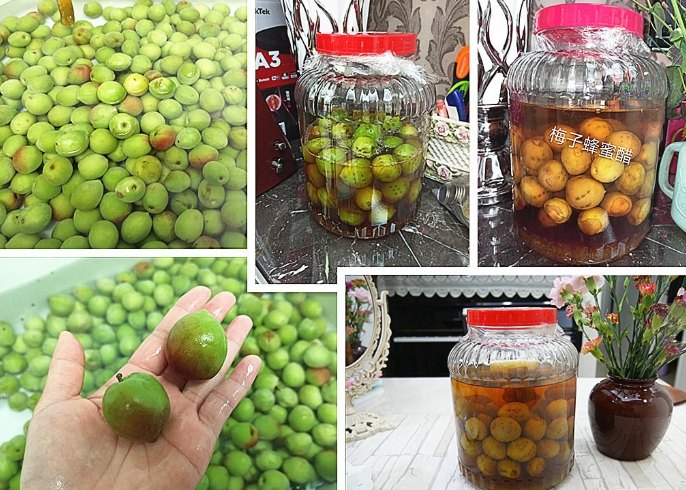 梅子醋殘渣利用