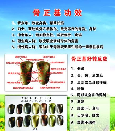 骨齒目功效 骨齒目功效