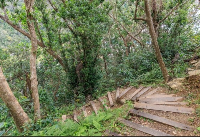 森林步道徒步指南 森林步道徒步指南