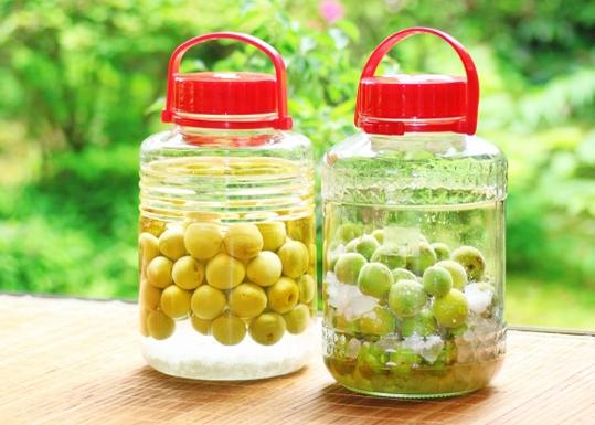 梅子酒調酒全攻略：從基礎技巧到創意配方一次掌握