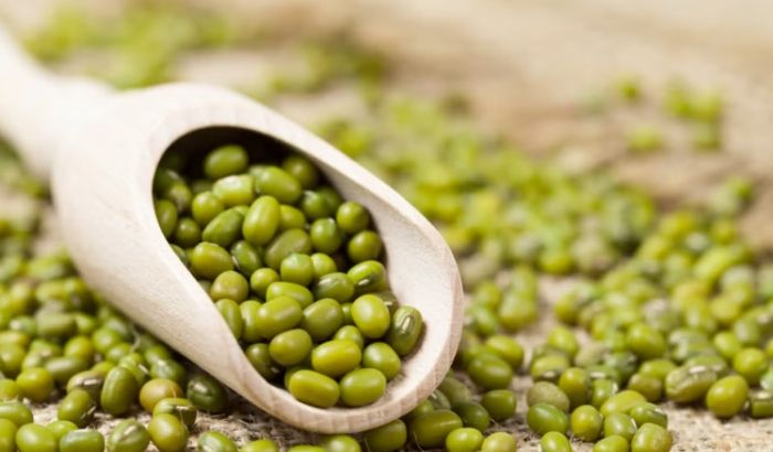 綠豆熱量 綠豆熱量