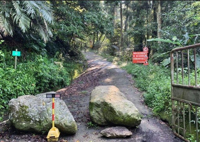 桃園挑戰性山峰 桃園挑戰性山峰