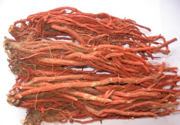 丹參使用注意事項 丹參使用注意事項