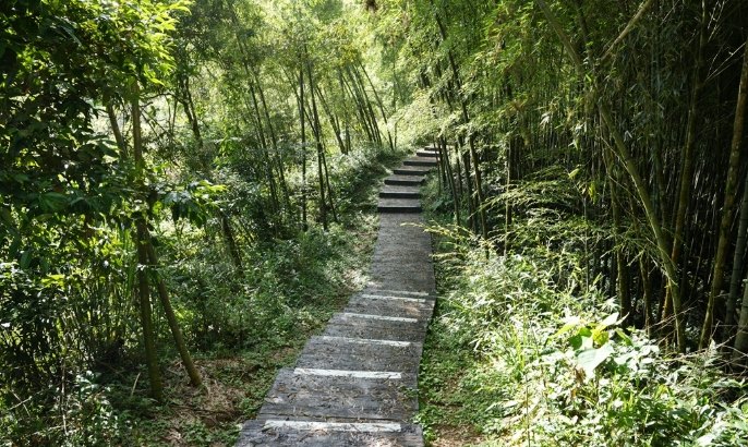 龍銀山步道難度 龍銀山步道難度