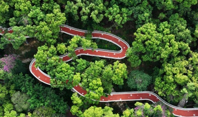 司巴夫步道攻略 司巴夫步道攻略