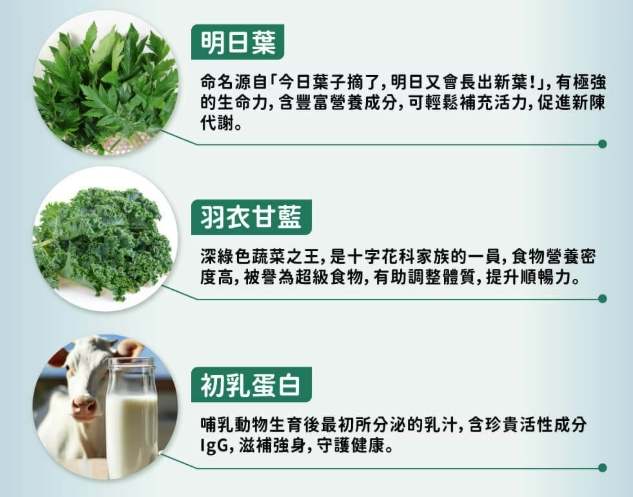 明日葉健康 benefits