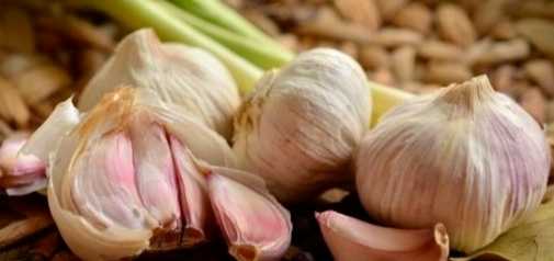 大蒜素安全使用