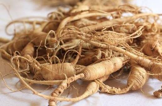 西洋蔘食用時間