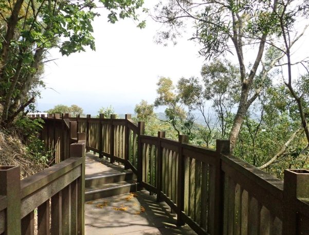 頭份登山步道 頭份登山步道