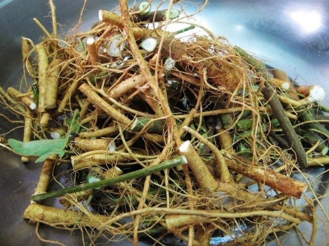 月經不順中草藥