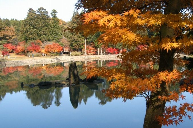 毛越寺旅遊 毛越寺旅遊