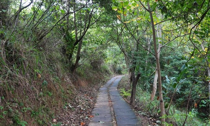 苗栗頭份步道 苗栗頭份步道