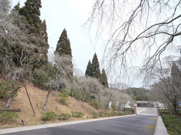 美秀美術館交通方式