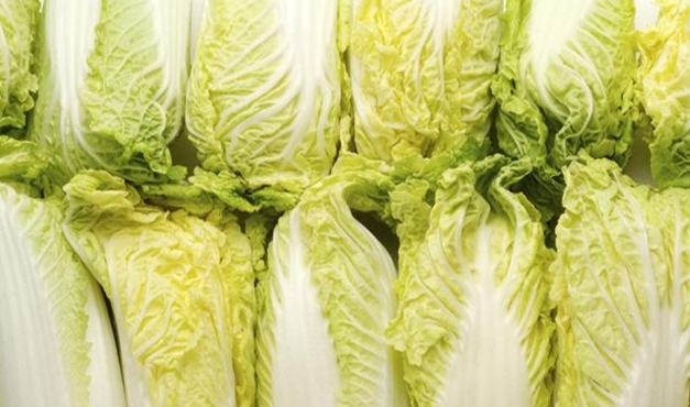 娃娃菜腎臟病飲食全攻略：腎友必讀的營養指南與風險解析