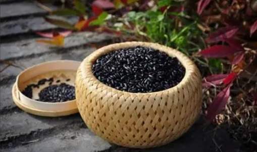 黑芝麻補血 黑芝麻補血