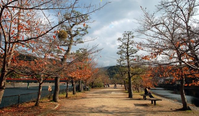 宇治公園 景點 宇治公園 景點