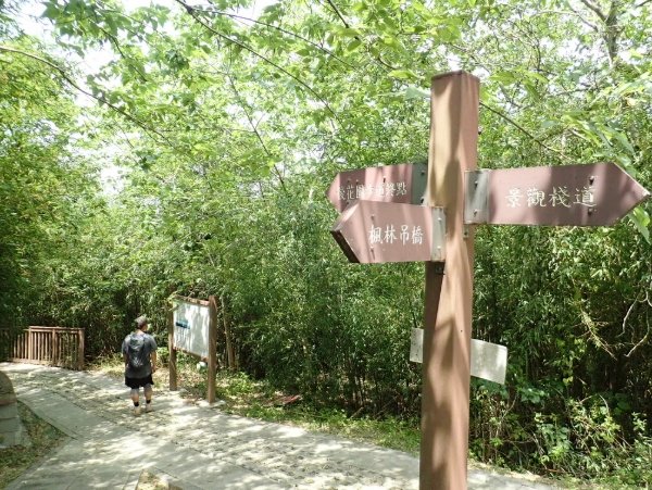 老崎古道難度 老崎古道難度