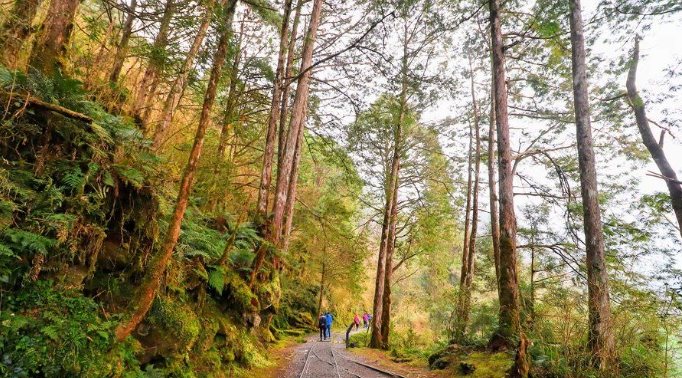 宜蘭登山步道 宜蘭登山步道