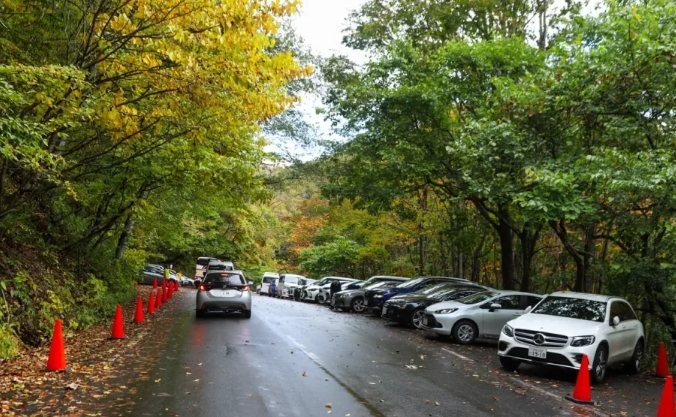 奧入瀨溪流交通