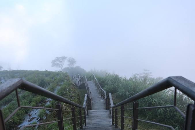 阿裡山住宿推薦