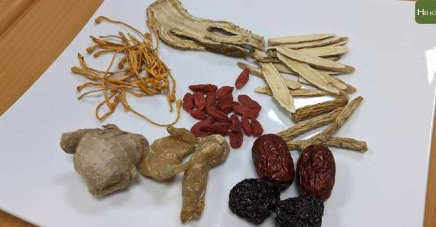 黃金蟲草吃法功效 黃金蟲草吃法功效