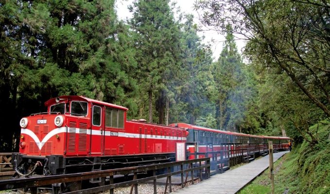 阿裡山住宿推薦