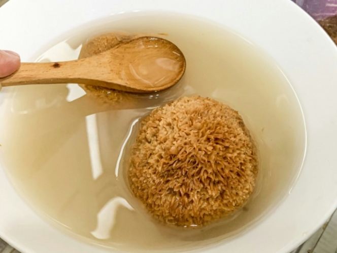 猴頭菇泡水全攻略：功效、方法與常見問題一次看懂