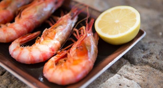 蝦紅素來源 蝦紅素來源