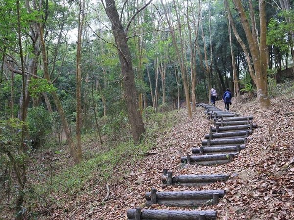 古道徒步路線 古道徒步路線
