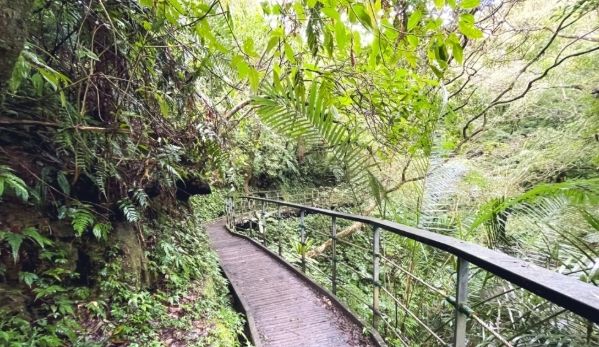 宜蘭步道推薦 宜蘭步道推薦