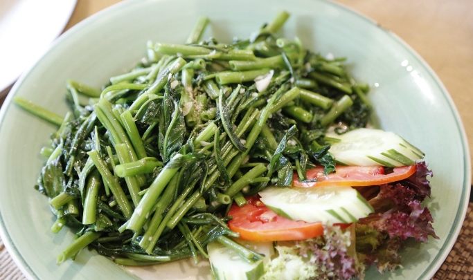 清迈柴迪隆寺附近餐厅