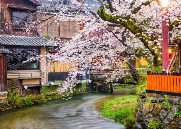 京都祇園旅遊