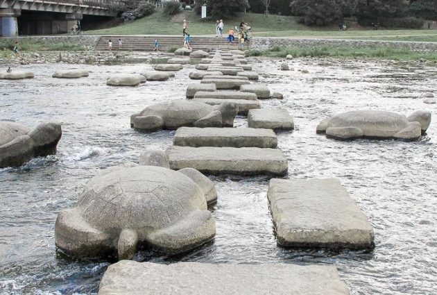 鴨川跳烏龜歷史