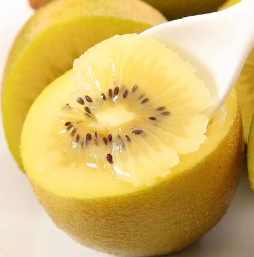 黃金奇異果好處