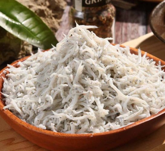 吻仔魚 生態 吻仔魚 生態