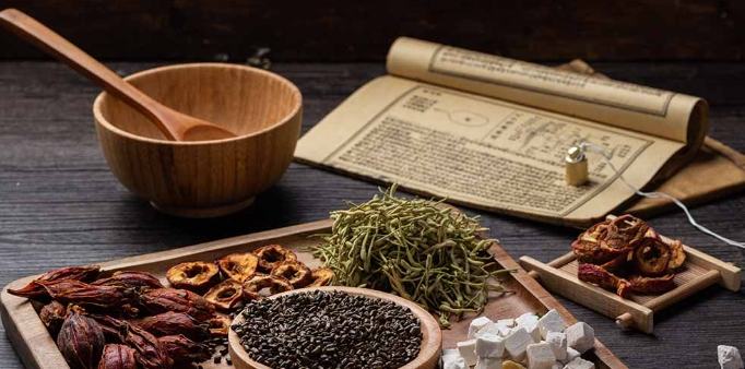 肖楠木好處 肖楠木好處