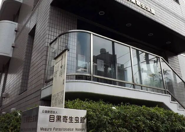 目黑美術館 參觀 目黑美術館 參觀