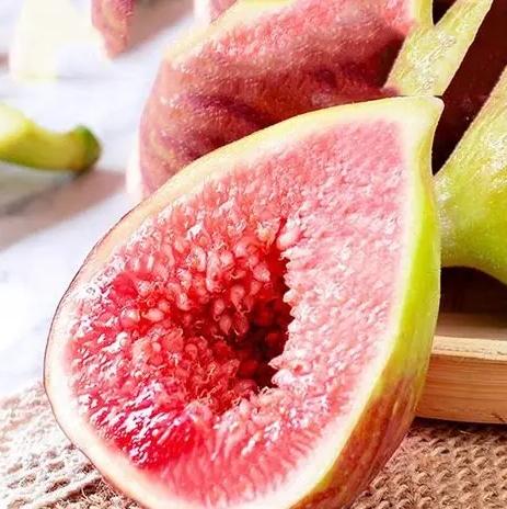 無花果營養價值 無花果營養價值